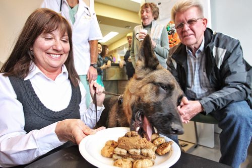 Marge Thom (left) and Doug Thom (right) watch proudly as their German Shepard, Demi, 5, digs into the treats at the Anderson Animal Hospital and Wellness Centre. The hospital is hosting a post chemotherapy celebration for three dogs (two German Shepards and one Shepard-Husky cross) who were diagnosed with Lymphoma (lymph node cancer) all around the same time. All three dogs went though 25 weeks of chemotherapy and the cancer has gone into remission in all of them. 131024 - October 24, 2013 MIKE DEAL / WINNIPEG FREE PRESS