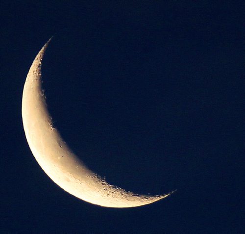 Crescent Moon- A waning crescent moon is illuminated by the sun in pre-dawn light over Winnipeg Wednesday-This Halloween the moon will be Waning Crescent with an 11% visibility but will set in early afternoon before sunset making trick or treating a very dark evening Standup photo- Oct 30, 2013   (JOE BRYKSA / WINNIPEG FREE PRESS)