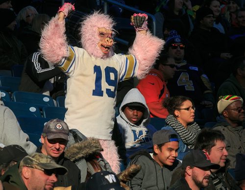 A fan dressed in a gorilla suit yells at the field near the end of another Blue Bombers loss at Investors Group Field. Winnipeg Blue Bombers lost the final game of the season against the Hamilton Tiger Cats on Saturday. 131023 - Wednesday, October 23, 2013 - (Melissa Tait / Winnipeg Free Press)