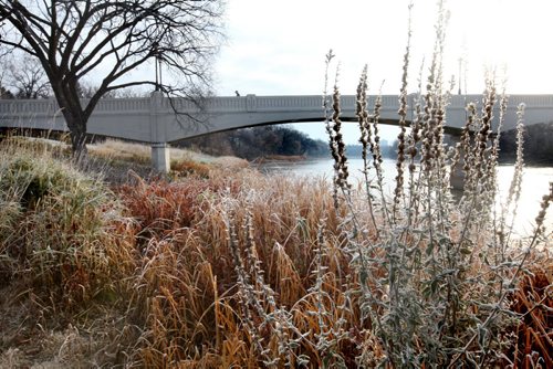 Early signs of winter frost slowly evaporates in the morning sunshine along the banks of the Assiniboine River near the footbridge Saturday. Standup photo. November 02,,  2013 Ruth Bonneville / Winnipeg Free Press
