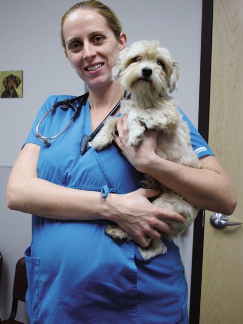 Canstar Community News 01/11/2013- WHS veterinarian Dr. Melanie Youngs holds an extremely happy Cyrus. Cyrus was picked up off the streets of Winnipeg with over 30-lbs of matted fur all over this body. He couldnÄôt wag his tail before the haircut, how he canÄôt stop and even the camera couldnÄôt catch it. (STEPHCROSIER/CANSTARNEWS)