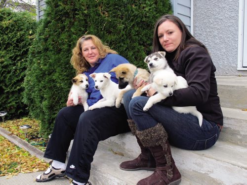 Canstar Community News 24/10/2013- Debra Vandekerkhove and Jill Britton of the Norway House Animal Rescue with a number of puppies looking for new homes. Vandekerhouve is organizing a Waffle Breakfast in hopes of raising money for their contraceptive implant program in Norway House. (CANSTARNEWS/STEPHCROSIER)