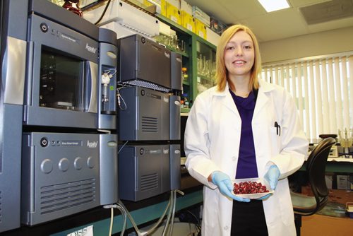 Canstar Community News Cara Isaak with a tray of lingonberries. (JORDAN THOMPSON)