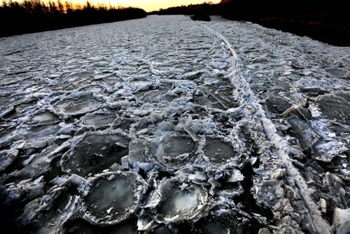 Freezing overnight temperatures earlier this week created circular ice formations on the Assiniboine River appearing to be like craters on the moon. Standup photo.  November 13,,  2013 Ruth Bonneville / Winnipeg Free Press