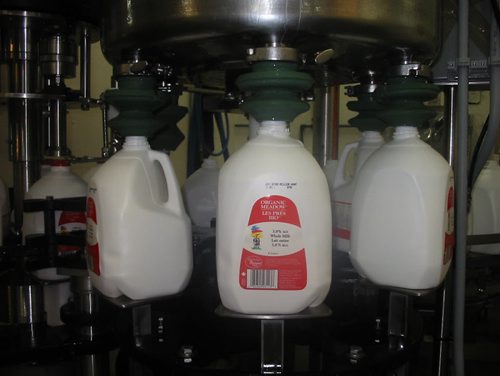 Notre Dame Creamery 01- organic milk coming off the assembly line. BILL REDEKOP / WINNIPEG FREE PRESS NOV. 15/2013