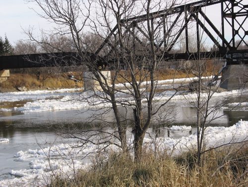 Canstar Community News Nov. 12, 2013 - Ice is starting to form on the Assiniboine River in Headingley. (ANDREA GEARY/CANSTAR COMMUNITY NEWS)