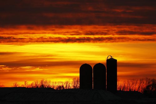 November 24, 2013 - 131124  -  The sun sets behind a Manitoba farm on Highway 210, just east of St. Adolphe, Sunday, November 24, 2013. John Woods / Winnipeg Free Press