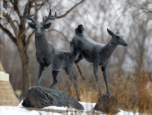 A pair of deer are frozen in time at the Forks. Deer Sculpture at the Forks. Weather standup. BORIS MINKEVICH / WINNIPEG FREE PRESS  November 25, 2013