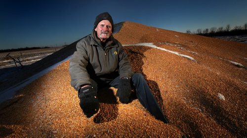 Bumper crop and rail car shortage forcing outdoor storage.....Kent Oatway, sits on a pile of corn left outside in his yard after this years harvest. See Bill Redekop's story. November 26, 2013 - (Phil Hossack / Winnipeg Free Press)
