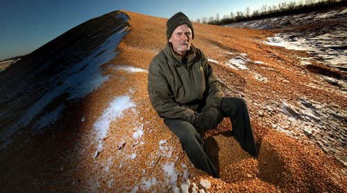 Bumper crop and rail car shortage forcing outdoor storage.....Kent Oatway, sits on a pile of corn left outside in his yard after this years harvest. See Bill Redekop's story. November 26, 2013 - (Phil Hossack / Winnipeg Free Press)