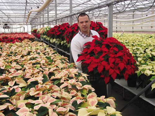 Canstar Community News Nov. 20, 2013 - Shelmerdine Garden Centre owner Chad Labbe displays one of the brightly-coloured poinsettias grown in the Headingley business' nursery just in time for the holidays. (ANDREA GEARY/CANSTAR COMMUNITY NEWS)