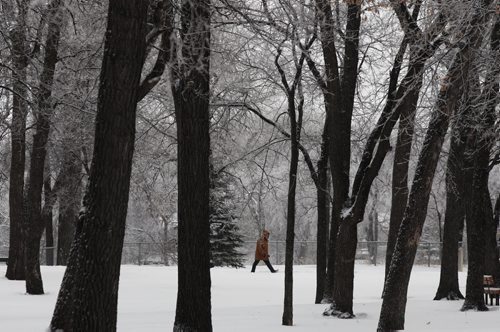 Postcard Morning- Don Warren walks through Kildonan Park amidst trees covered in fresh snow and hoar frost Standup photo- Nov 28, 2013   (JOE BRYKSA / WINNIPEG FREE PRESS)