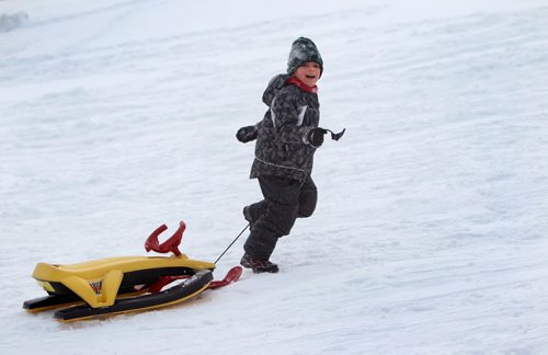 Five year old Kai Almonte enjoys his day off from school playing in the snow with his mom Lynn at a small hill near Wellington Cresent Friday afternoon.  Kai smiles as he rushes back up the hill with his sled fFriday afternoon,  Standup Photo Nov 29,, 2013 Ruth Bonneville / Winnipeg Free Press