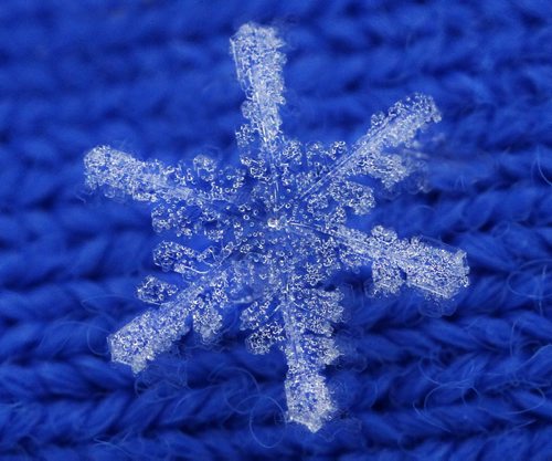 One of many of these snowflakes will accumulate in Winnipeg in the next few days- Snow is predicted to continue in Winnipeg into Thursday- Standup photo- Dec 03, 2013   (JOE BRYKSA / WINNIPEG FREE PRESS)