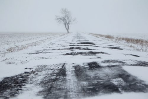 A lone tree bends in the wind  on a dirt road alongside Hwy Number One 15km west of Winnipeg as motorists make their way down the highway in blowing snow Wednesday afternoon.  Dec 04, 2013 Ruth Bonneville / Winnipeg Free Press