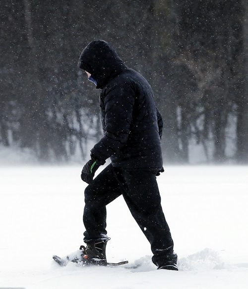 Stdup a Determined Trudge  - a person  on snow shoes makes his way in the  wind and blowing snow at Assiniboine Park Thur. Morning