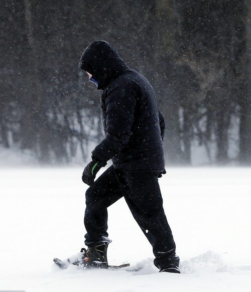 Stdup a Determined Trudge  - a person  on snow shoes makes his way in the  wind and blowing snow at Assiniboine Park Thur. Morning   Dec. 5 2013 / KEN GIGLIOTTI / WINNIPEG FREE PRESS