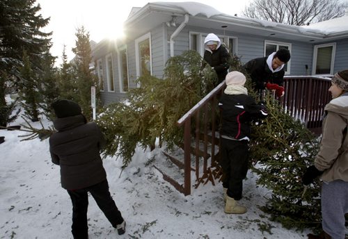 From left, Jezreel Morales and Olivia Brown carry a tree as  Andrew Saygnavong, Mikayla Johnson and  Sarah Guenther at right  along with two other Vincent Massey Collegiate students took part in a day of service helping putting on lights and setting up twelve Christmas tress in the front of  Brummitt Feasby ALS House Tuesday.  The ALS Society of Manitobas Annual Lite Up a Life Campaign kicked off on December 1st and runs until January 31st, donations to the ALS Society of Manitoba will literally light up a holiday tree in front of Canadas only ALS House at 106 Kirby Drive.Bulbs are 3 for $5.00 or 7 for $10.00 or light up a whole tree for just $150.00.  Lacoste Garden Centre donated the trees and sand to secure them. see release. Wayne Glowacki / Winnipeg Free Press Dec.10 2013