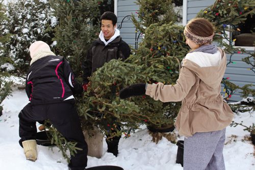Canstar Community News (From left) Grade 12 students at Vincent Massey Collegiate Mikayla Johnson, Andrew Saygnavong, and Sarah Gunther get one of the decorated Christmas trees potted and ready to go. (JORDAN THOMPSON)