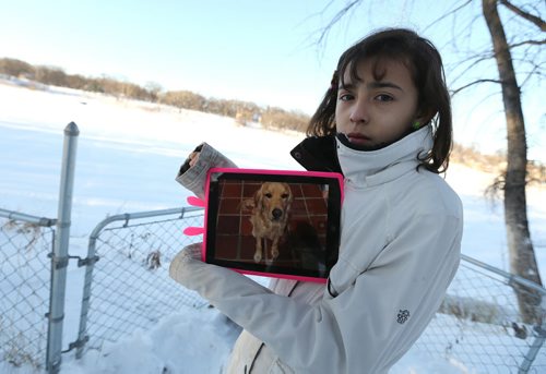 Carolina Amador, 11, shows off a photo of her dog, Talia on Sun., Dec. 29, 2013. Talia, a 16-month-old female cocker spaniel-Labrador mix, ran away from the familyÄôs Glenwood Drive yard and onto the Red River just a day after moving to Winnipeg from Colombia. Photo by Jason Halstead/Winnipeg Free Press