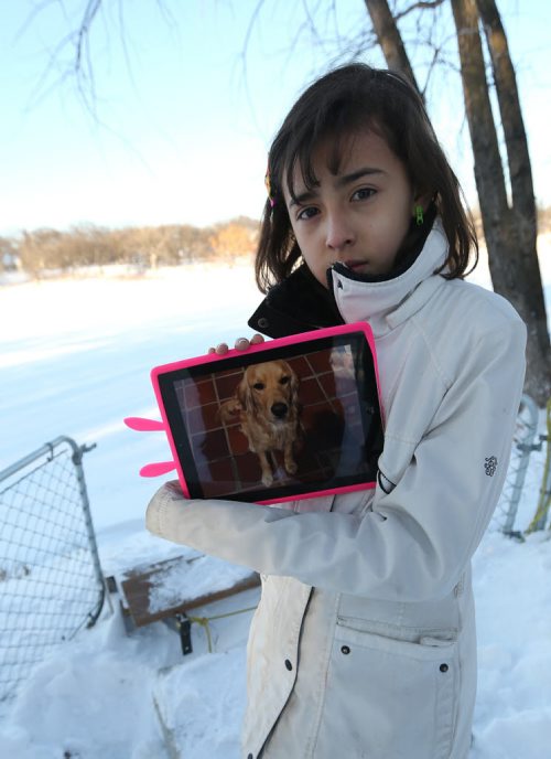 Carolina Amador, 11, shows off a photo of her dog, Talia on Sun., Dec. 29, 2013. Talia, a 16-month-old female cocker spaniel-Labrador mix, ran away from the familyÄôs Glenwood Drive yard and onto the Red River just a day after moving to Winnipeg from Colombia. Photo by Jason Halstead/Winnipeg Free Press