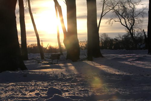 The sun rises on the first day of 2014 in Assiniboine Park on New Year's Day. Jan 01, 2014 Ruth Bonneville / Winnipeg Free Press