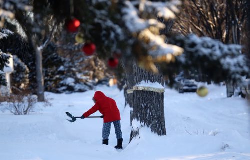 A woman shovels snow from in front of her house in East Fort Garry, Saturday, January 4, 2014. (TREVOR HAGAN/WINNIPEG FREE PRESS)