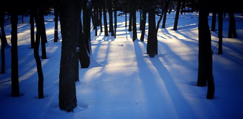 Shadows cast from the early morning sun near St. John's-Ravenscourt, Saturday, January 4, 2014. (TREVOR HAGAN/WINNIPEG FREE PRESS)