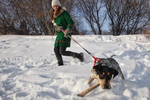 Vanessa Kuzina was out walking her 8-month-old puppy Lucy along the Assiniboine River in Wolseley where many others have been seen walking when she fell through the ice on Saturday. 140105 - January 5, 2014 MIKE DEAL / WINNIPEG FREE PRESS
