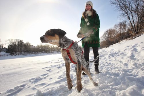 Vanessa Kuzina was out walking her 8-month-old puppy Lucy along the Assiniboine River in Wolseley where many others have been seen walking when she fell through the ice on Saturday. 140105 - January 5, 2014 MIKE DEAL / WINNIPEG FREE PRESS