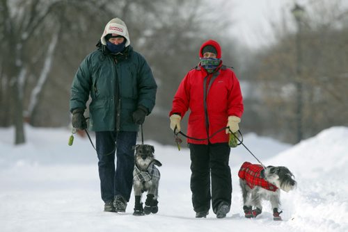 Greg Arason and his wife Margaret walk their dogs Eli and Quito(in red) in Southdale. The cold temperatures didnt stop the couple from getting some exercise. BORIS MINKEVICH / WINNIPEG FREE PRESS January 6, 2014