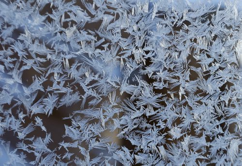 frost on a window - A Fierce & Gentle Cold Äì saturday picture page project  JAN. 7 2014 / KEN GIGLIOTTI / WINNIPEG FREE PRESS