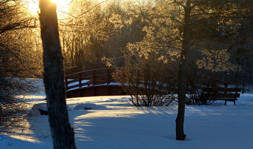 Morning sun rises over the snow covered hills in Kings Park Wednesday morning under sun skies. Standup. Jan 08, 2014 Ruth Bonneville / Winnipeg Free Press