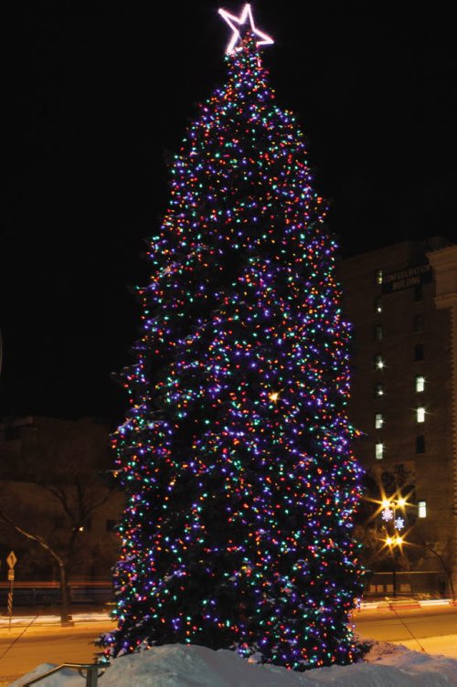 Canstar Community News Winnipeg City Hall Christmas tree. (JORDAN THOMPSON)