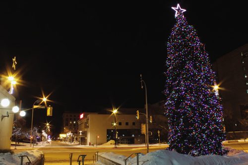 Canstar Community News Winnipeg City Hall Christmas tree. (JORDAN THOMPSON)