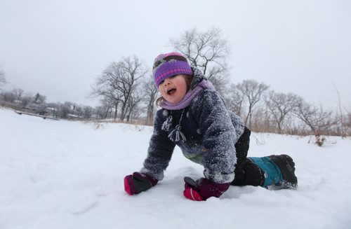 Two and a half year old Riel Peterkin rolls down Omands Creek Hill Saturday morning while enjoying the warm winter weather with her family. Standup photo  Jan 11,, 2014 Ruth Bonneville / Winnipeg Free Press