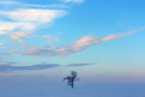 Winter Beauty Blowing snow and clearing skies made this incredible view on Highway 1 west of Winnipeg Tuesday morning-  Standup Photo- Jan 14 , 2014   (JOE BRYKSA / WINNIPEG FREE PRESS). weather