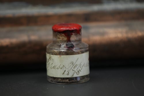 Small container full of grasshoppers found inside casket that contained items from the early beginnings of Winnipeg as a city- See Randy Turner story- January 16, 2014   (JOE BRYKSA / WINNIPEG FREE PRESS)