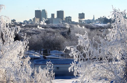 View of downtown Winnipeg through trees covered in  hoar frost  on Garbage Hill Thursday morning. Standup photo. i Jan 23,, 2014 Ruth Bonneville / Winnipeg Free Press