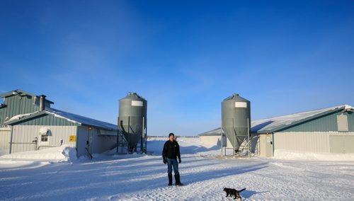 New Bothwell-based poultry farmer Jake Wiebe, Chair of Manitoba Chicken Producers, had to get construction space heaters to keep his four giant barns full of 35,000 chicks warm after he lost heat due to the gas pipeline explosion near Otterburne.  See Bill Redekop story. 140127 - Monday, {month name} 27, 2014 - (Melissa Tait / Winnipeg Free Press)