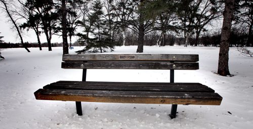 This is needed for the Feb. 2 Our Winnipeg column. The writer is in Florida, but she wrote about a park bench in Assiniboine Park, so that will have to do for a photo. Here is how to find the park bench she wrote about: Enter the Assiniboine Park at the first entrance on Corydon, by the Formal Gardens. ( It becomes a one way street) Turn right by the Winnipeg Realtors Citizens Walk of Fame. Park on the road by the last Realtors Citizens Walk of Fame bust of Carl Ridd. The Bench is nearby with the Inscription- Sit here and rest awhile in this greenspace donated by Loretta (Joyce) Graham Fogwill and W. Douglas Fogwill.....All The info I have.....January 30, 2014 - (Phil Hossack / Winnipeg Free Press)