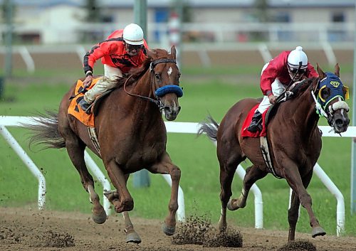 BORIS MINKEVICH / WINNIPEG FREE PRESS  070617 llusive Force with jockey Alan Cuthbertson wins the Free Press Stakes. He is on the #7 horse in orange.