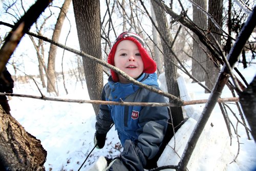 Five year old Owen Edmonds  pretends to be a bear while he plays  in a pretend cage made of sticks in the woods at Assiniboine Park Saturday morning.  The structures were made by children and child care workers in the Early Childhood Education program as part of a initiative to get kids playing outside creating things with nature.   Standup photo  Feb 08,, 2014 Ruth Bonneville / Winnipeg Free Press
