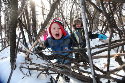 Five year old Owen Edmonds growls as he pretends to be a bear while he plays with his friend Jessie Ried -5yrs and his sister Alice Edmonds -3yrs in a pretend cage made of sticks in the woods at Assiniboine Park Saturday morning.  The structures were made by children and child care workers in the Early Childhood Education program as part of a initiative to get kids playing outside creating things with nature.   Standup photo  Feb 08,, 2014 Ruth Bonneville / Winnipeg Free Press