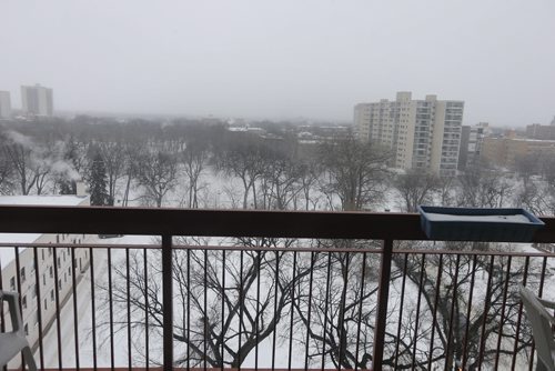 large 9th floor balcony looking over the Assiniboine River to Osborne Village ,HOMES Resale , 15 Kennedy unit 903, condo for todd lewys story FEB. 11 2014 / KEN GIGLIOTTI / WINNIPEG FREE PRESS