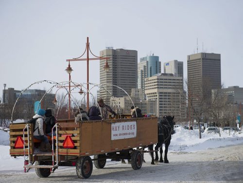 140222 Winnipeg - DAVID LIPNOWSKI / WINNIPEG FREE PRESS - February 22, 2014  A horse drawn wagon departs from the Forks on a chilly Saturday afternoon.