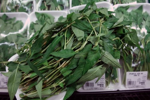 Spearmint Herb Rau for sale fresh at Lucky Grocery loads fresh herbs for sale  -    See Barley Kives story- Feb 24, 2014   (JOE BRYKSA / WINNIPEG FREE PRESS)