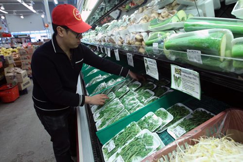 Kevin Trinh of Lucky Grocery loads fresh herbs for sale  -    See Barley Kives story- Feb 24, 2014   (JOE BRYKSA / WINNIPEG FREE PRESS)