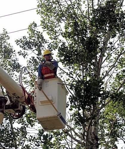 BORIS MINKEVICH / WINNIPEG FREE PRESS  070624 Hyro crews work on lines near White Lake. june 24, 2007 whiteshell storm damage