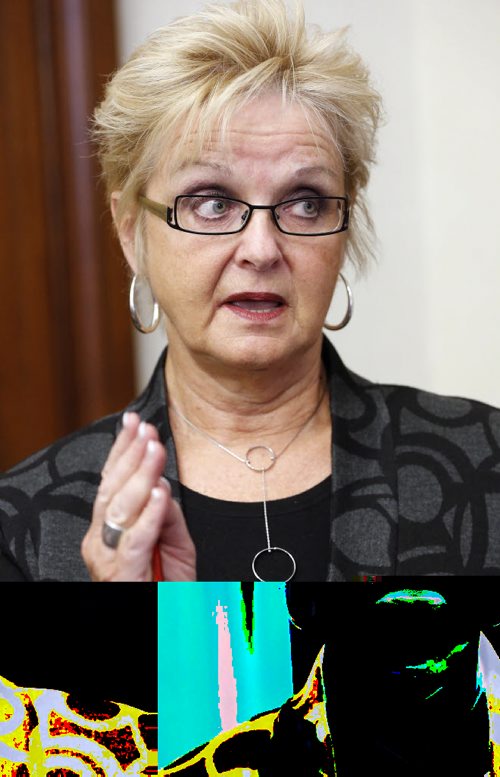 LOCAL , MLA for Charleswood Myrna Driedger wants media to dig deeper into Stars helicopter grounding  and strained relations between  the province and the helicopter   life saving  society  . Story by bruce owen  Mar. 7 2014 / KEN GIGLIOTTI / WINNIPEG FREE PRESS
